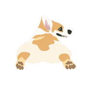 scoutdandelion happy dog animal puppy Sticker