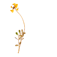 Self-Discovery Relax Sticker by Recovery Book