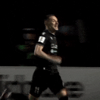 Chesnokov GIF