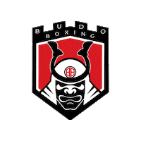 Martial Arts Mma Sticker by Budo Boxing
