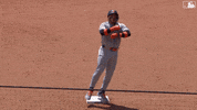 Major League Baseball Sport GIF by MLB