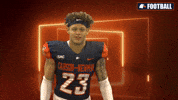 Touchdown GIF by Carson-Newman Athletics