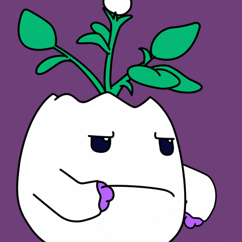 Diva Whatever GIF by Magic Eden