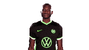 Social Media Sticker Sticker by VfL Wolfsburg
