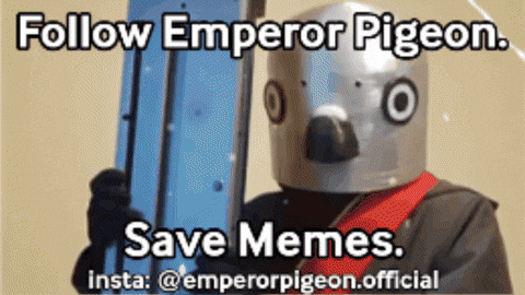Great Depression Pigeon Meme GIF