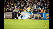 Soccer Futbol GIF by New Mexico United