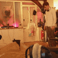 Twitch Autruche GIF