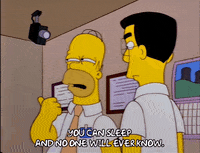 homer simpson episode 23 GIF