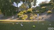 Golfing Hard Knocks GIF by NFL
