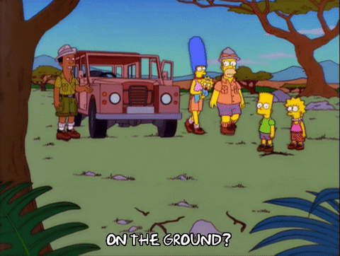 homer simpson jeep GIF