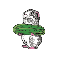 Jimbobart illustration animal snack pin Sticker