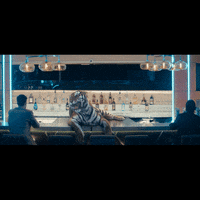 Bar Scq GIF by CasinosQc