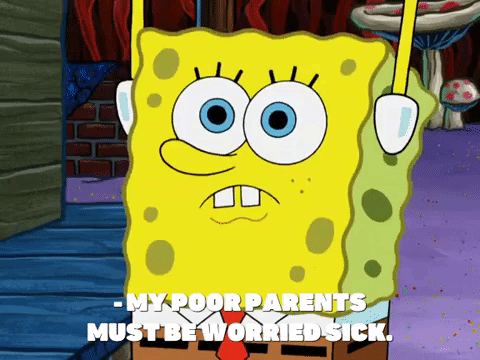 season 8 spongebob's runaway roadtrip: a squarepants family vacation GIF by SpongeBob SquarePants