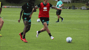 see you later portugal GIF by QPR FC
