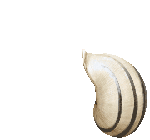 sofiaiva giphyupload happy cute hello Sticker