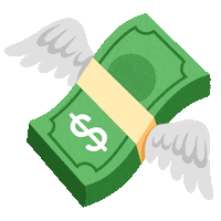 vanemedinacoach money fly vanemedinacoach6 Sticker