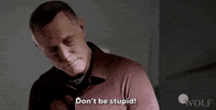 Be Smart Dick Wolf GIF by Wolf Entertainment