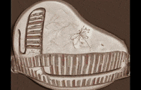 Time Has GIF by Alex Boya