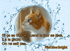 Pamela Chougne GIF