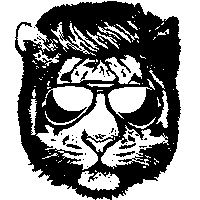 rallyraid rallypilot Sticker by Silk Way Rally