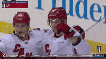 Happy National Hockey League GIF by NHL