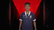 Well Done Applause GIF by Bundesliga