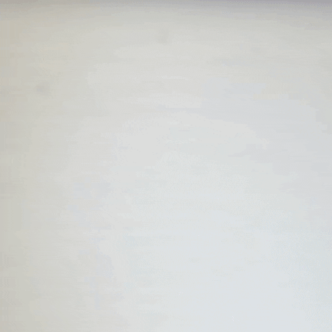 rfkracing america nascar american flag brad keselowski GIF