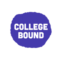 Notre Dame College Sticker