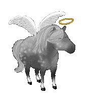 Horse Angel Sticker by winterlichtmalerei