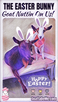 Easter Bunny GIF by Goatta Be Me Goats! Adventures of Java, Toffee, Pumpkin and Cookie!