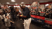 Celebrate Raise Your Glass GIF by MLB