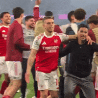 Champions League Arsenal GIF by Respective