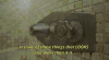 desert flippers GIF