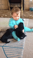Baby Loves to Play With Pug Puppies