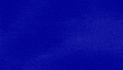 Cat Feline GIF by Jeopardy!