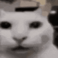 Beefsandwich54 GIF