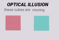 Cube Optical Illusion GIF