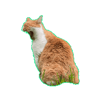 ContentCreation_Agentur cat gähnen lilli big yawn Sticker