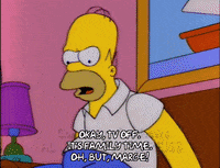 homer simpson episode 13 GIF