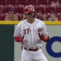 Baseball Mlb GIF by Cincinnati Reds