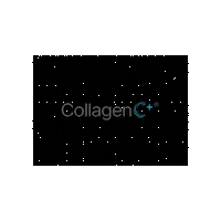 Ernesi1978 ernesi 1978 collagen c Sticker