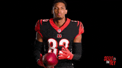 Cincinnati Bengals Football GIF by Bengals