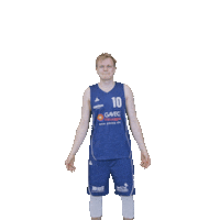 Bensheim Sticker by VfL Basketball