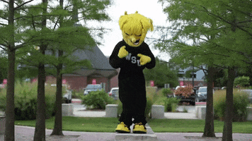 Wu_Shock wu wsu wushock shockers GIF