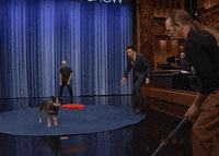 Tonight Show Wow GIF by The Tonight Show Starring Jimmy Fallon