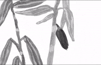 Animation Touch GIF by kiin.