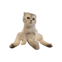 Cat Hermes Sticker by uniKuni