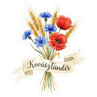 Csokor Pipacs Sticker by KovászTündér