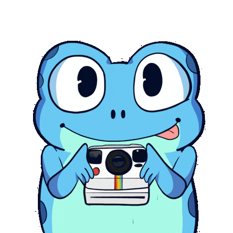 Instagram Photography Sticker by Croakey