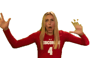 Celebrate Wisconsin Volleyball Sticker by Wisconsin Badgers